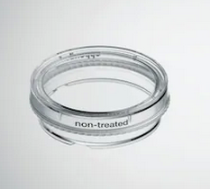 德國(guó)艾本德(Eppendorf)Cell Culture Dishes, 35 mm, 無(wú)菌、無(wú)熱原，無(wú) RNase和DNase，無(wú)人類(lèi)和細(xì)菌DNA。無(wú)細(xì)胞毒素, 未處理, 3.0mL, 300個(gè)