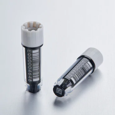艾本德Eppendorf CryoStorage Vial, 0.5 mL, 不含 DNase、RNase、人類 DNA 和內(nèi)毒素；外螺紋，預(yù)先加蓋灰色管蓋，帶 2D SafeCode (DataMa
